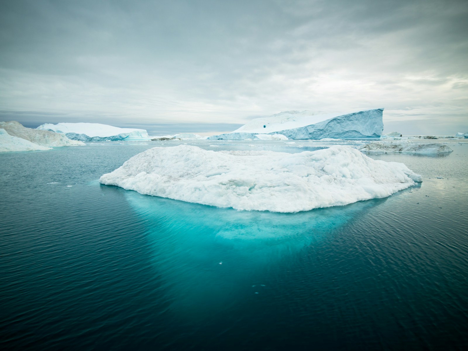 Icebergs drifting in still, dark water beneath an overcast sky.