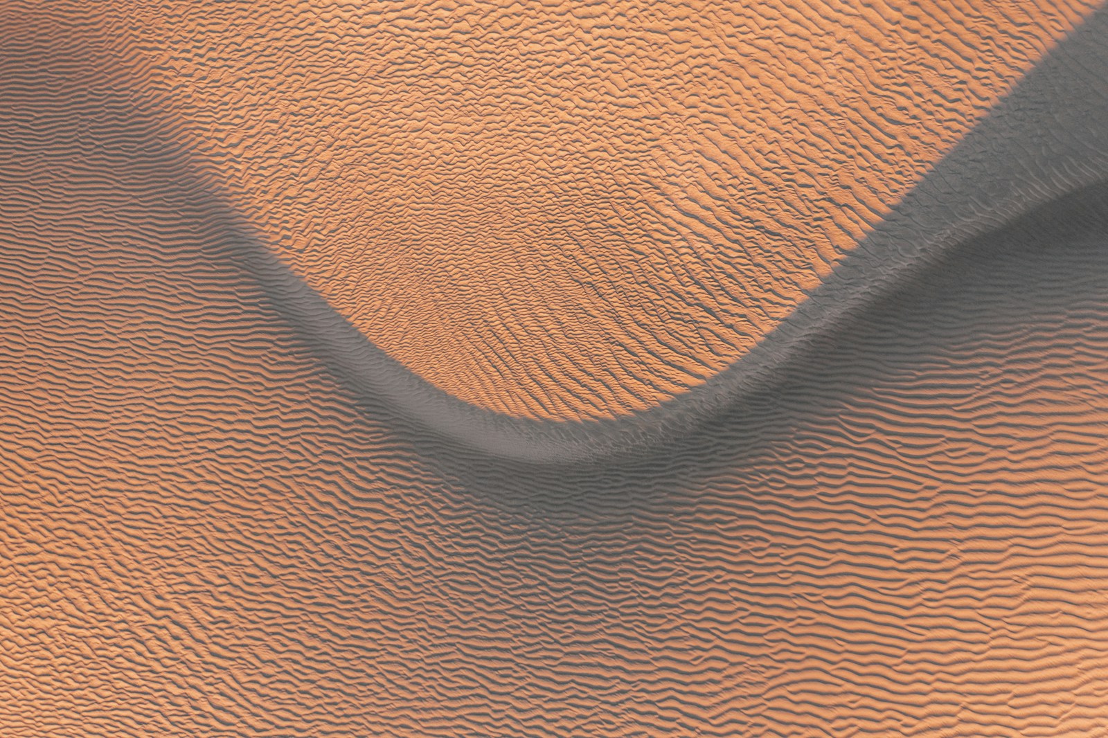 Wind-rippled sand dunes stretching across a vast desert.