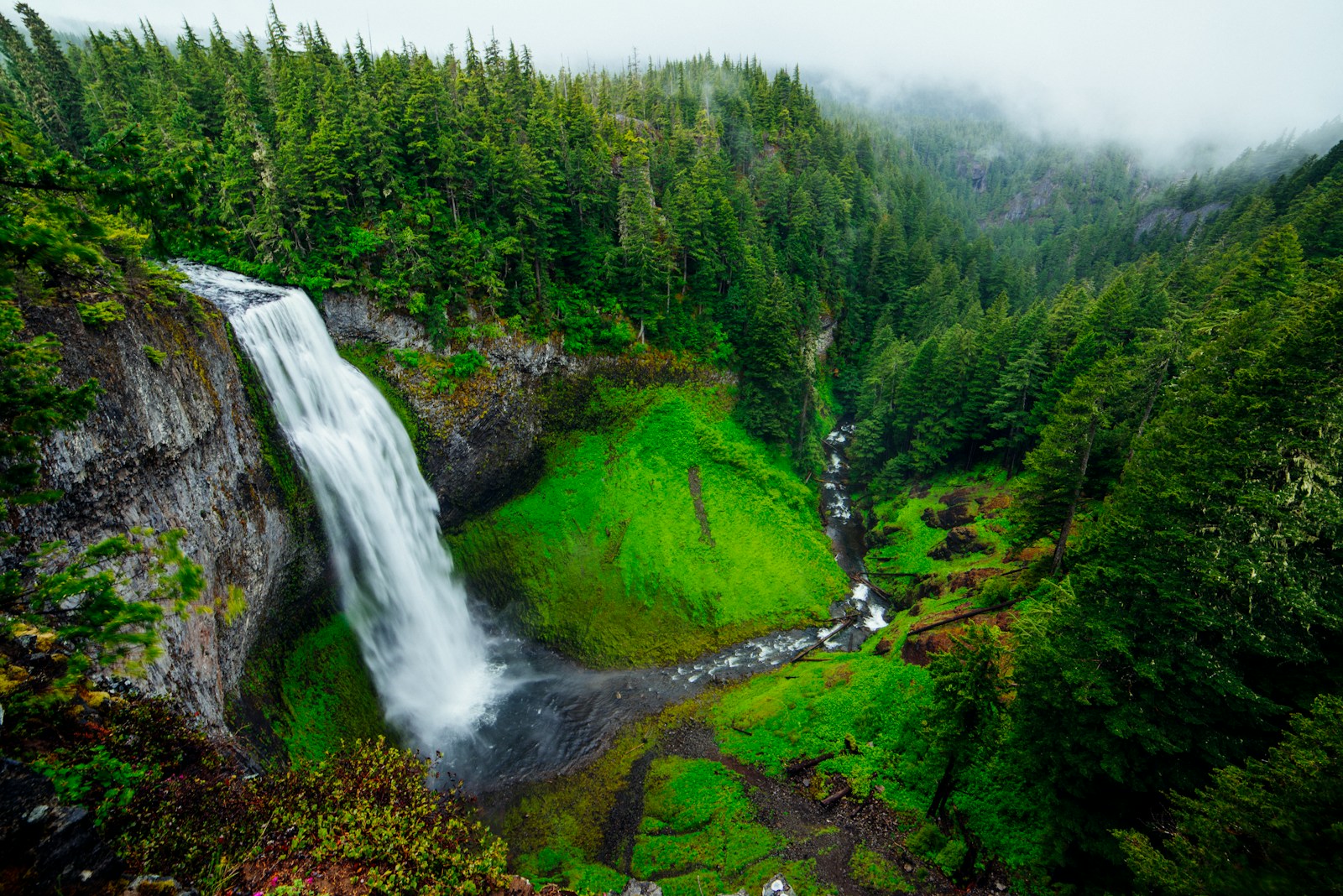 A waterfall falling into a green, moss-covered gorge in an old-growth forest.