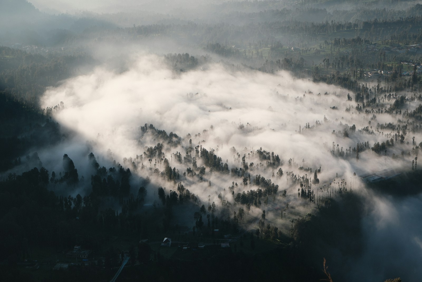 Low morning fog drifting through a forested valley, seen from above.