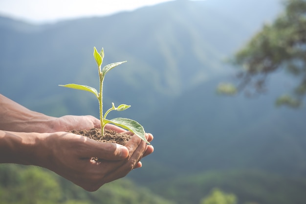 Les meilleures organisations caritatives pour le changement climatique